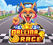 Gallina Race